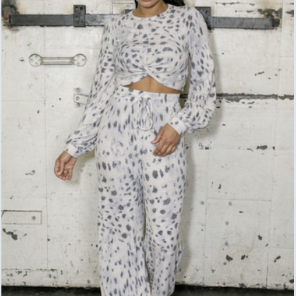 Two Piece Leopard Print Set